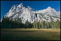 Langille Peak from Big Pete Meadow, morning, Le Conte Canyon. Kings Canyon National Park, California, USA. (color)