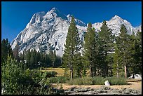Langille Peak and pine trees, Big Pete Meadow, Le Conte Canyon. Kings Canyon National Park, California, USA. (color)