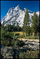 Trees and Langille Peak, Big Pete Meadow, Le Conte Canyon. Kings Canyon National Park, California, USA.