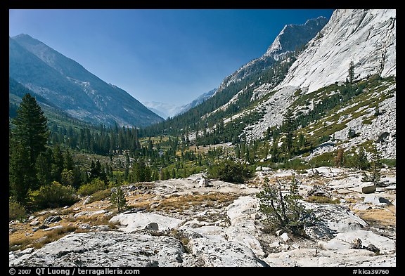 Rocks and meadows, Le Conte Canyon. Kings Canyon National Park, California, USA.