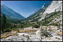 Rocks and meadows, Le Conte Canyon. Kings Canyon National Park, California, USA.