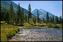 Glistening waters in middle Fork of the Kings River, Le Conte Canyon. Kings Canyon National Park, California, USA. (color)