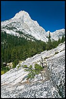 Langille Peak and Granite slab in Le Conte Canyon. Kings Canyon National Park, California, USA. (color)