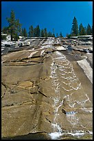 Water cascade over granite slab, Le Conte Canyon. Kings Canyon National Park, California, USA.