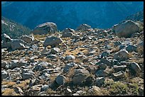 Boulders in meadow above Le Conte Canyon. Kings Canyon National Park ( color)