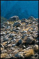 Boulders in meadow and Le Conte Canyon walls. Kings Canyon National Park ( color)