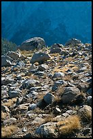 Boulders in meadow and Le Conte Canyon walls. Kings Canyon National Park, California, USA.