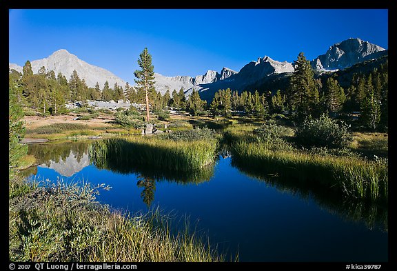 Grasses, creek, and Columbine Peak. Kings Canyon National Park, California, USA.