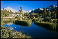 Grasses, creek, and Columbine Peak. Kings Canyon National Park, California, USA.