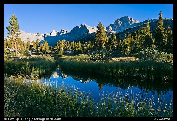 Mountains reflected in calm creek, late afternoon, Lower Dusy basin. Kings Canyon National Park, California, USA.