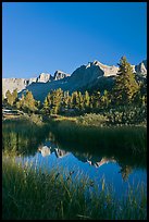 Grasses and mountains reflections, Lower Dusy basin. Kings Canyon National Park, California, USA.