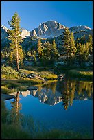 Trees and mountains reflected in calm creek, Lower Dusy basin. Kings Canyon National Park, California, USA.