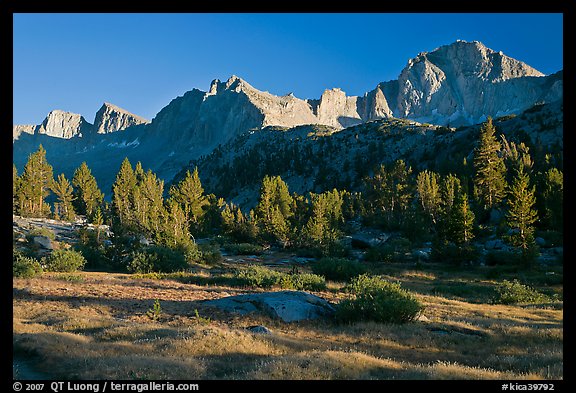 Meadow, trees and mountains, late afternoon, Lower Dusy basin. Kings Canyon National Park (color)
