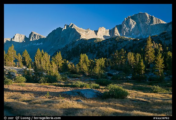 Meadow, trees and mountains, late afternoon, Lower Dusy basin. Kings Canyon National Park, California, USA.