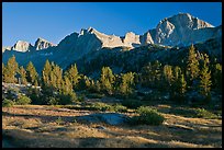 Meadow, trees and mountains, late afternoon, Lower Dusy basin. Kings Canyon National Park, California, USA.