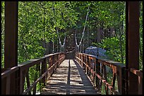 Suspension footbridge to Zumwalt Meadow. Kings Canyon National Park, California, USA.