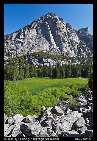 High granite walls above lush meadow. Kings Canyon National Park, California, USA.