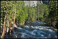 Roaring River in the spring. Kings Canyon National Park ( color)