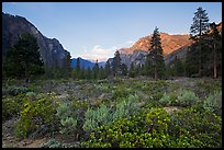 Meadow and cliffs at sunset, Cedar Grove. Kings Canyon National Park, California, USA. (color)
