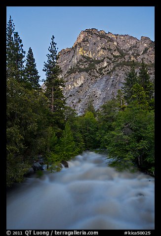 Roaring River flowing at dusk. Kings Canyon National Park, California, USA.