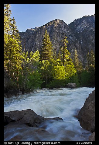 Granite River below Roaring River Falls. Kings Canyon National Park, California, USA.