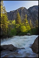 Granite River below Roaring River Falls. Kings Canyon National Park, California, USA.