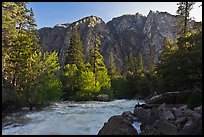 Rushing river and trees, and cliff in spring. Kings Canyon National Park, California, USA.