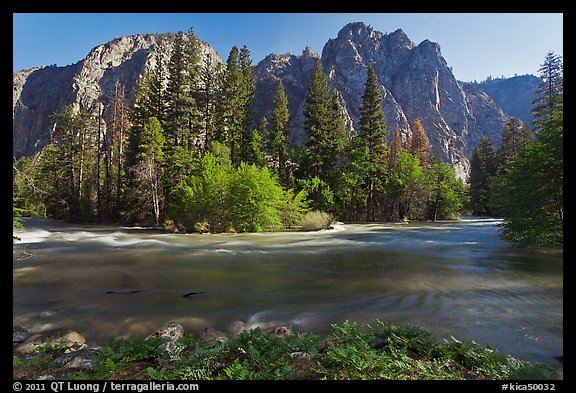 Kings River flowing at the base of high cliffs. Kings Canyon National Park (color)