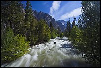 South Forks of the Kings River flowing through valley, Cedar Grove. Kings Canyon National Park ( color)