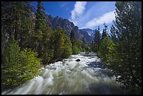 South Forks of the Kings River flowing through valley, Cedar Grove. Kings Canyon National Park, California, USA.