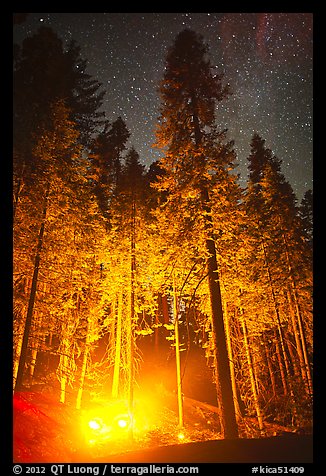 Fire amongst the sequoias, and starry sky. Kings Canyon National Park, California, USA.