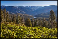 View over Hume Lake and Sierra Nevada from Panoramic Point. Kings Canyon National Park, California, USA. (color)