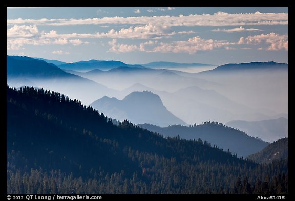 Distant sequoia forest and ridges. Kings Canyon National Park, California, USA.