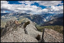 View from  top of Lookout Peak. Kings Canyon National Park, California, USA.