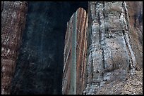 Opening created by fire at base of sequoia tree. Kings Canyon National Park, California, USA. (color)