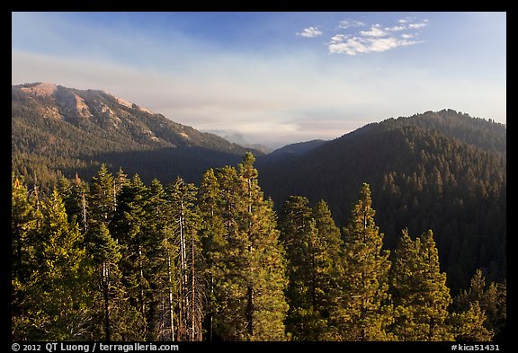 Redwood Mountain valley. Kings Canyon National Park (color)
