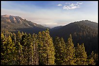 Redwood Mountain valley. Kings Canyon National Park, California, USA. (color)