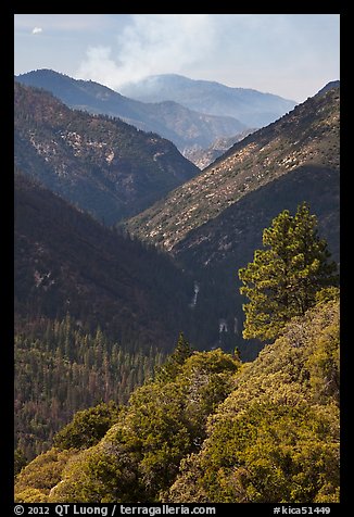 Valley carved by the Kings River. Kings Canyon National Park, California, USA.