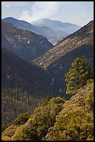 Valley carved by the Kings River. Kings Canyon National Park, California, USA.