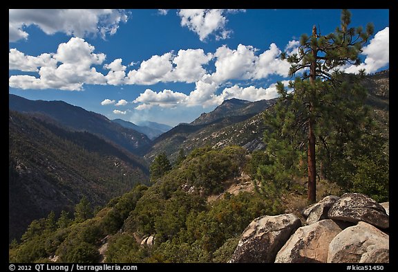 Canyon of the Kings River from Cedar Grove Overlook. Kings Canyon National Park, California, USA.