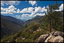 Canyon of the Kings River from Cedar Grove Overlook. Kings Canyon National Park, California, USA.