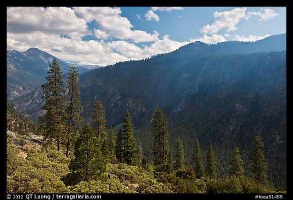 Cedar Grove valley seen from North Rim. Kings Canyon National Park, California, USA.