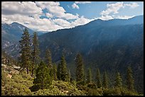 Cedar Grove valley seen from North Rim. Kings Canyon National Park, California, USA. (color)