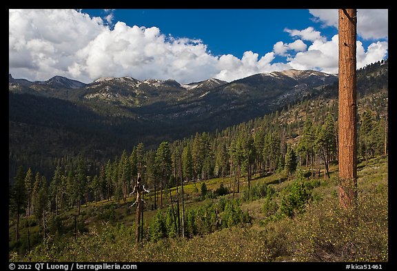 Monarch Divide. Kings Canyon National Park, California, USA.