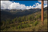 Monarch Divide. Kings Canyon National Park, California, USA. (color)