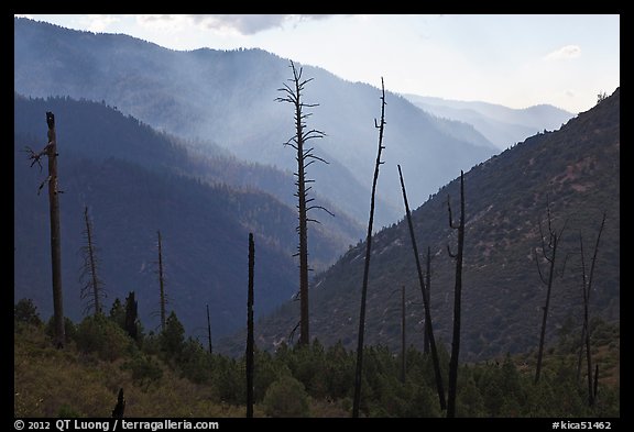 Backlit South Forks of the Kings River canyon. Kings Canyon National Park, California, USA.