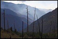 Backlit South Forks of the Kings River canyon. Kings Canyon National Park, California, USA. (color)