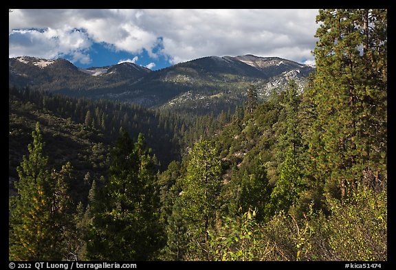 Kennedy Mountain above Lewis Creek. Kings Canyon National Park (color)
