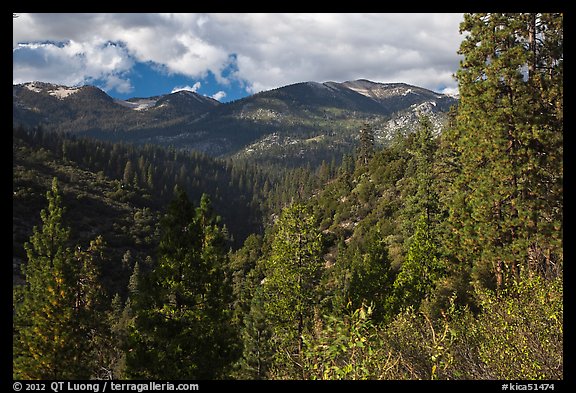 Kennedy Mountain above Lewis Creek. Kings Canyon National Park, California, USA.