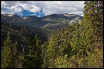 Kennedy Mountain above Lewis Creek. Kings Canyon National Park, California, USA. (color)